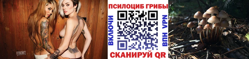 Галлюциногенные грибы Cubensis Северская
